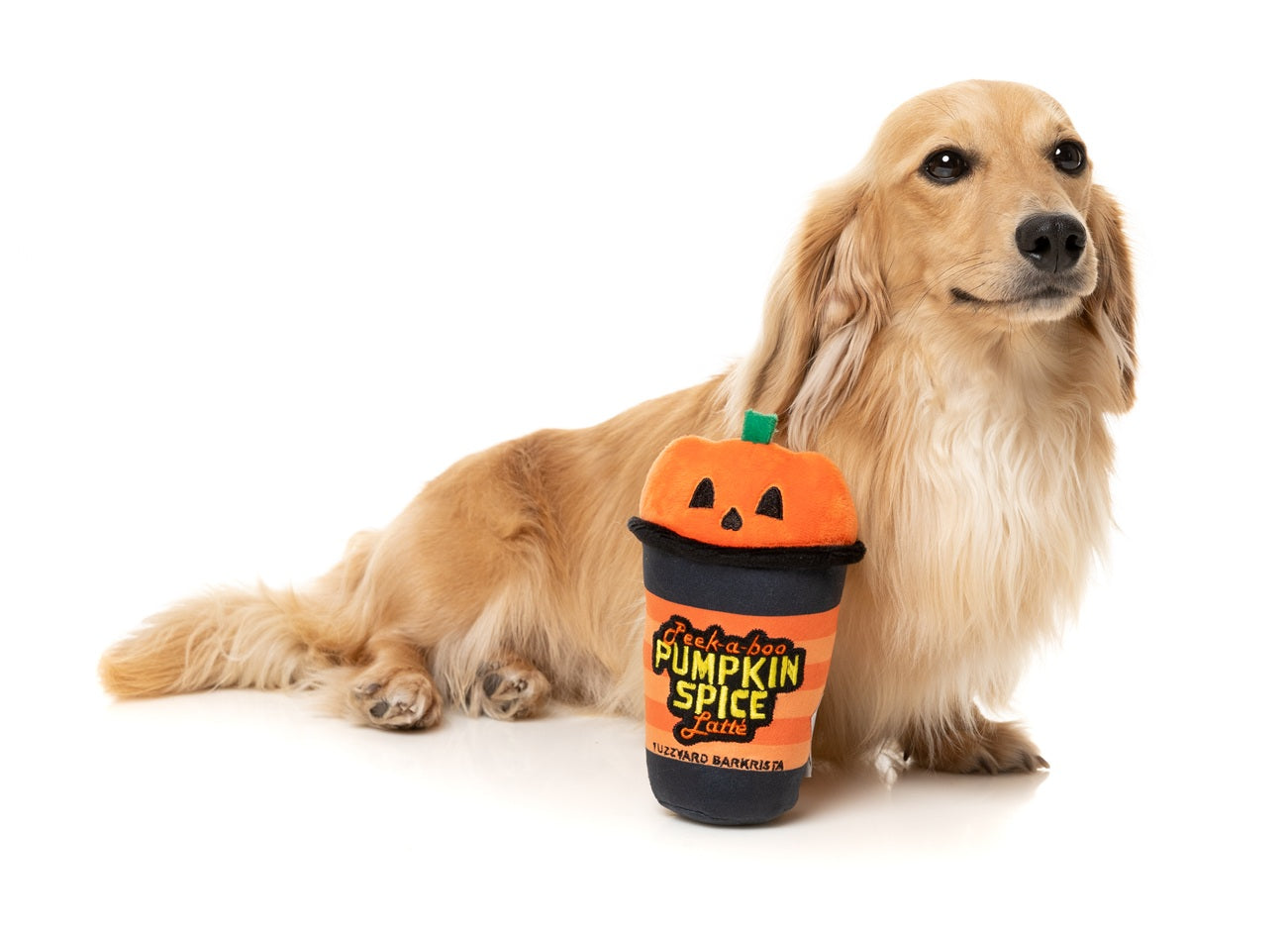 FuzzYard Halloween Peek A Boo Pumpkin Spice Latte Plush Dog Toy with Squeaker
