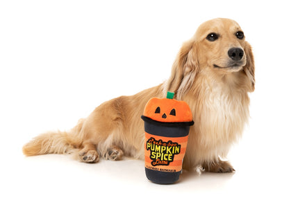 FuzzYard Halloween Peek A Boo Pumpkin Spice Latte Plush Dog Toy with Squeaker