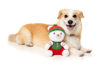 FuzzYard Christmas Polar Abdul Plush Dog Toy Small