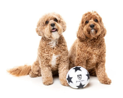 FuzzYard Soccer Ball Plush Dog Toy with Squeaker