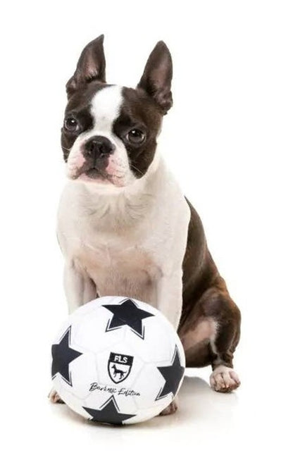 FuzzYard Soccer Ball Plush Dog Toy with Squeaker