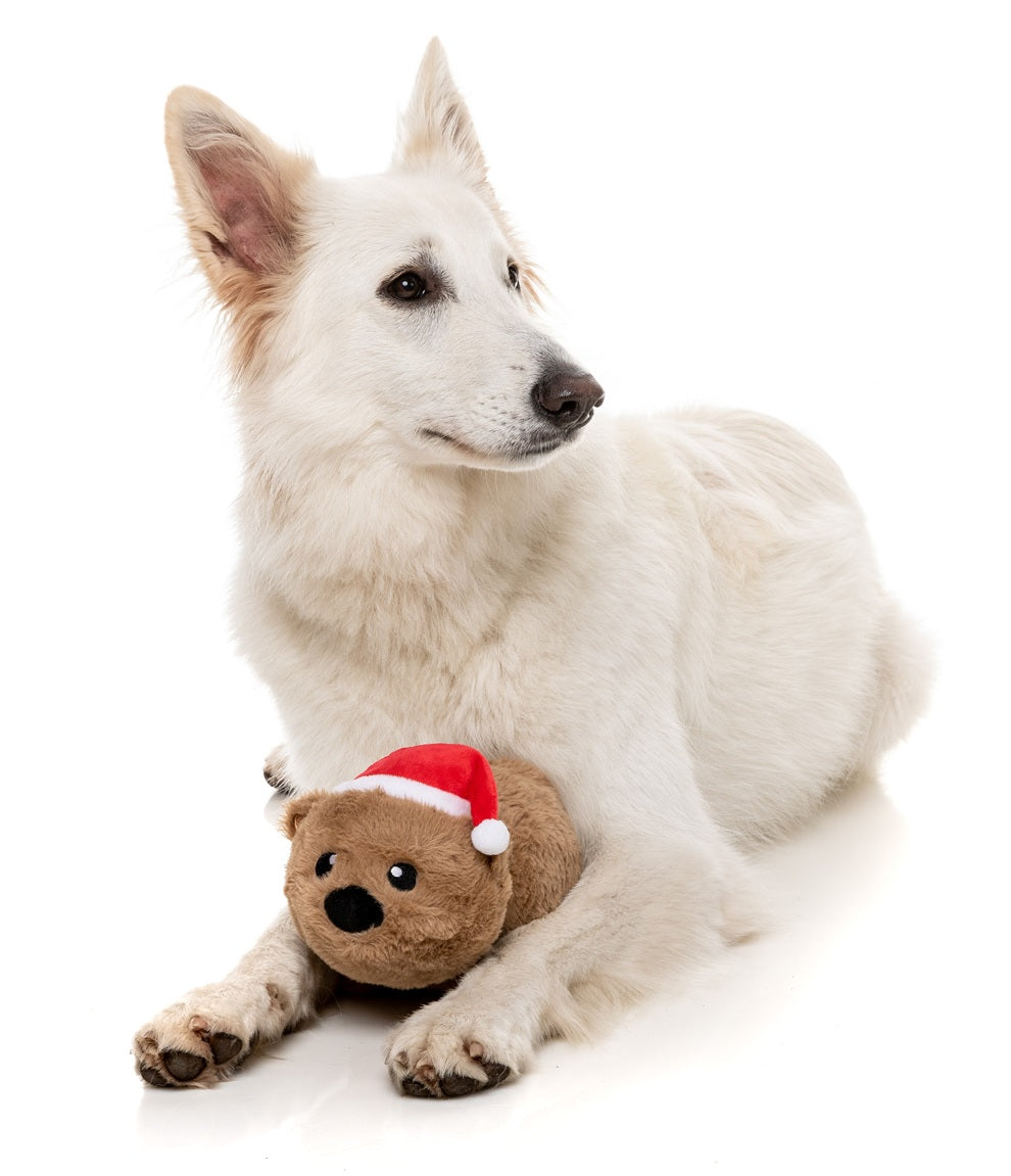 FuzzYard Christmas Felix Navidad Wombat Plush Dog Toy