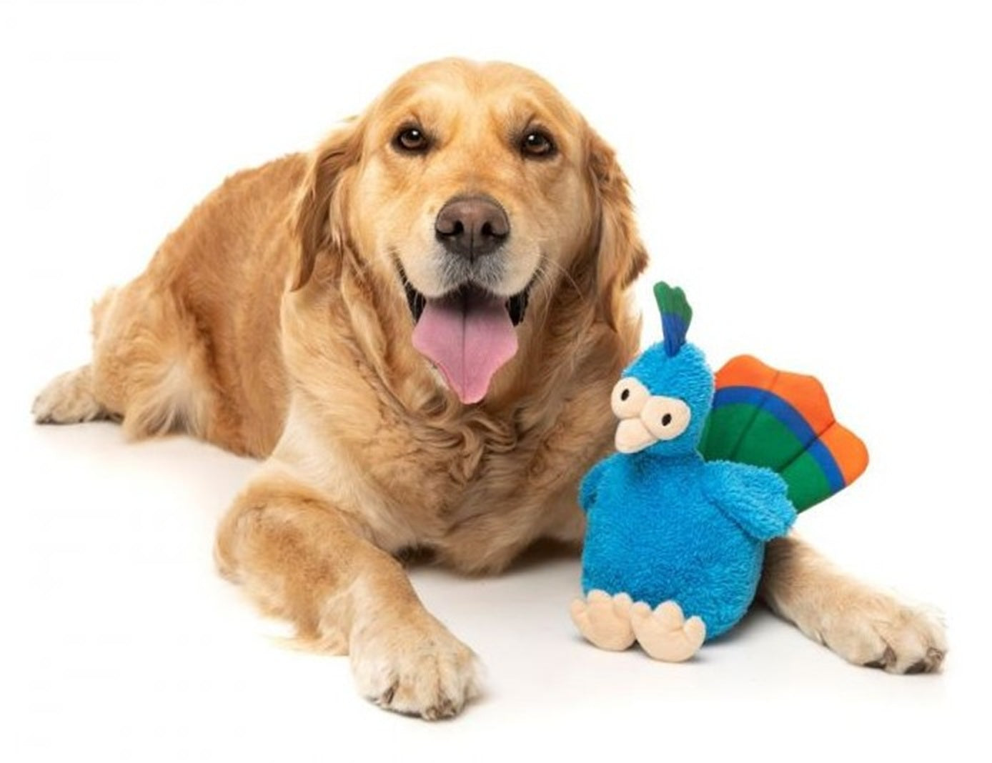 FuzzYard Showboat The Peacock Plush Dog Toy with Squeaker