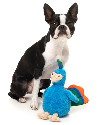 FuzzYard Showboat The Peacock Plush Dog Toy with Squeaker