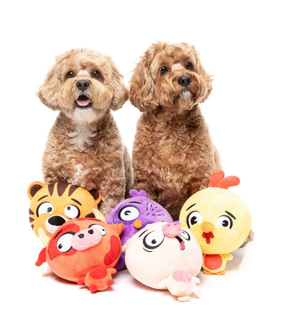 FuzzYard The Noggins Plush Dog Toy with Squeaker and Double Layered Design