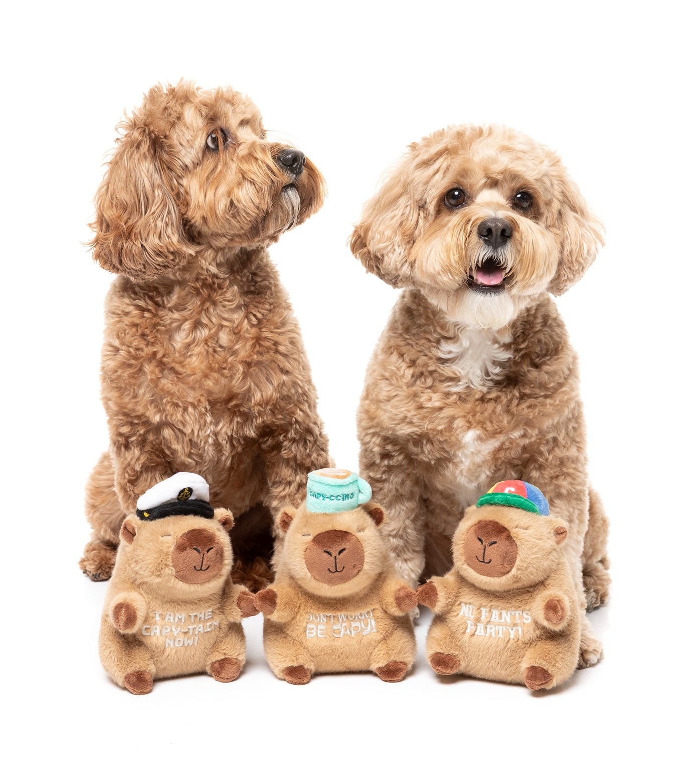 FuzzYard Capybaras Plush Dog Toy with Squeaker and Double Layer Design