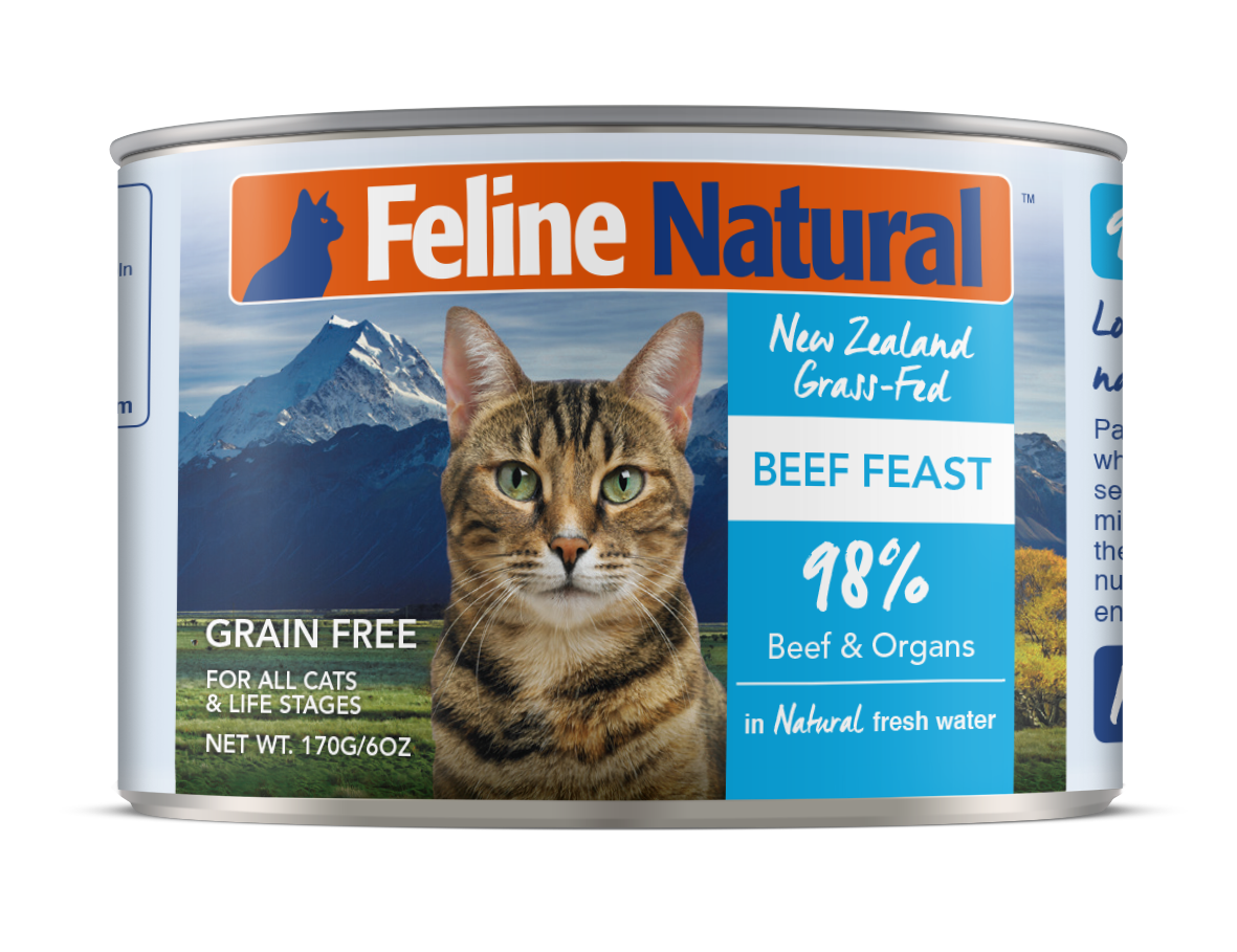 Feline Natural Beef Canned Cat Food – 12 x 170g