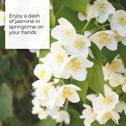 IDoCare Floral Charm Moisturising Hand Soap – Pet-Safe Formula