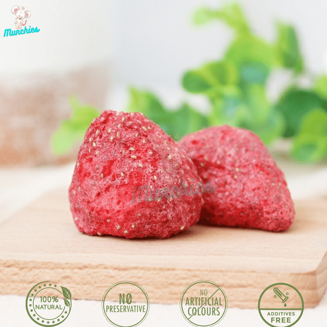 Munchies Freeze-Dried Strawberry – Human Grade Treat