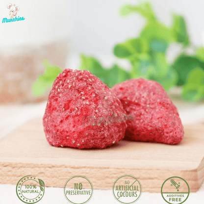 Munchies Freeze-Dried Strawberry – Human Grade Treat