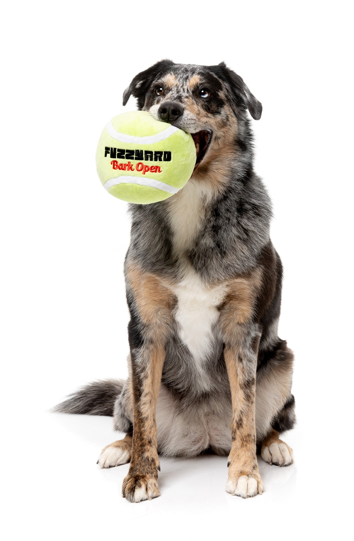 FuzzYard Tennis Ball Plush Dog Toy with squeakers