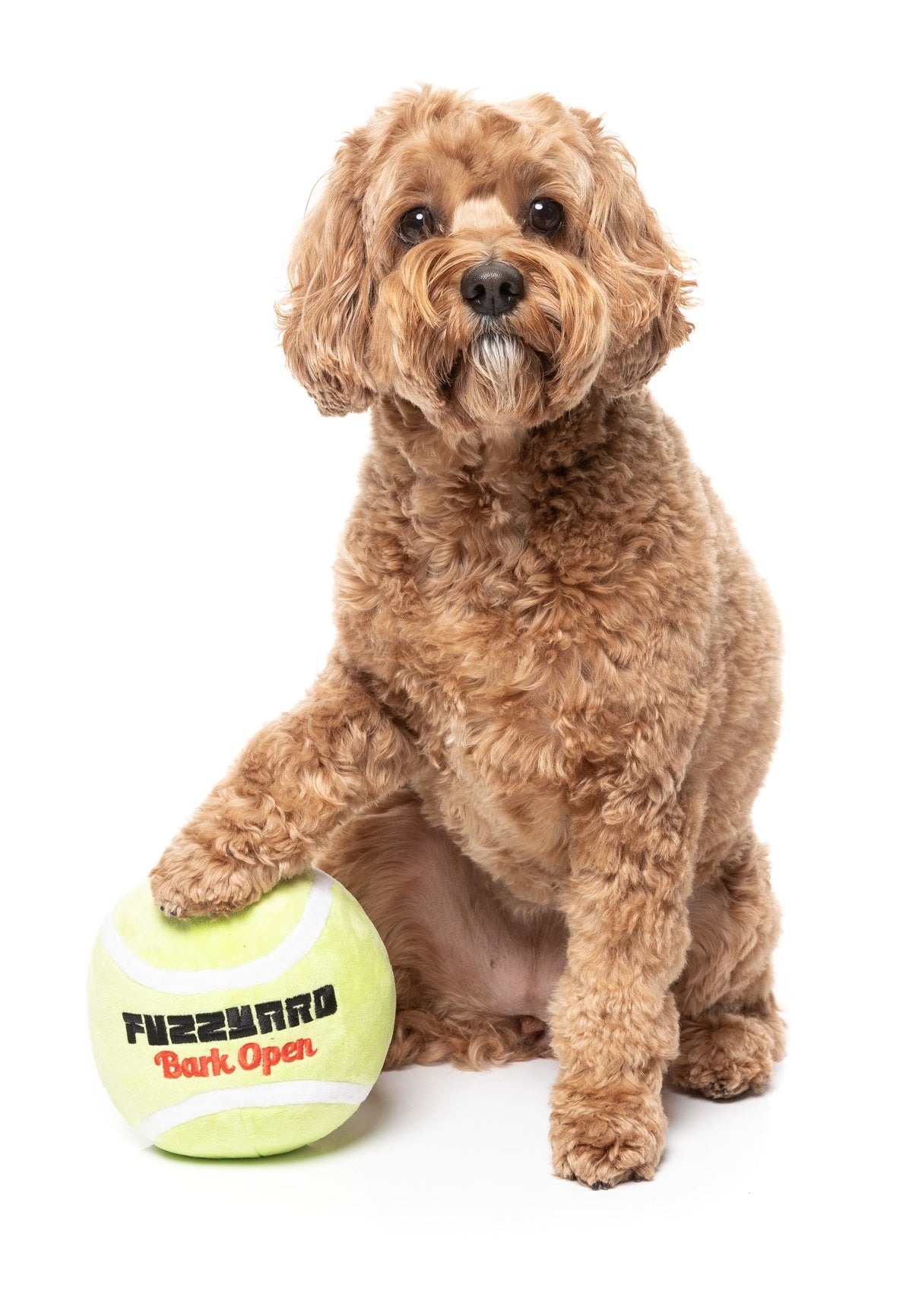 FuzzYard Tennis Ball Plush Dog Toy with squeakers