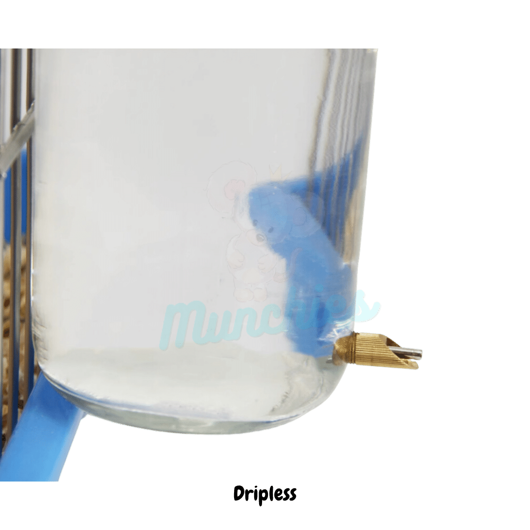 Munchies Glass Water Bottle – 1L Leak-Proof Hydration for Small Pets