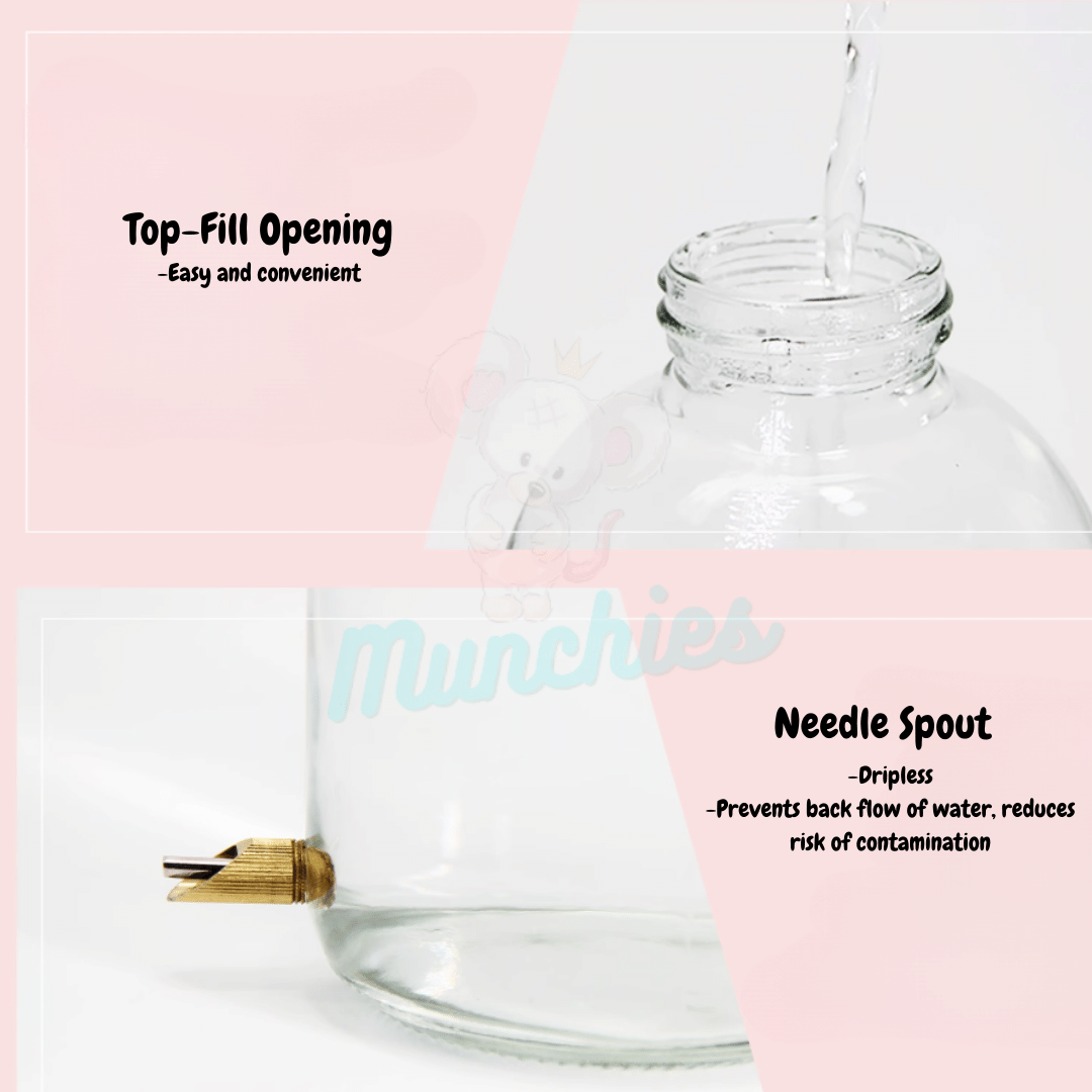 Munchies Glass Water Bottle – 1L Leak-Proof Hydration for Small Pets