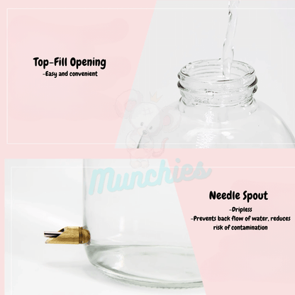 Munchies Glass Water Bottle – 1L Leak-Proof Hydration for Small Pets