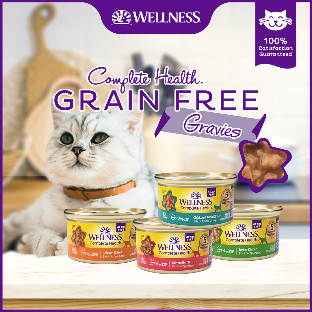 Wellness Complete Health Gravies Salmon Entree Grain Free Canned Cat Food 3oz