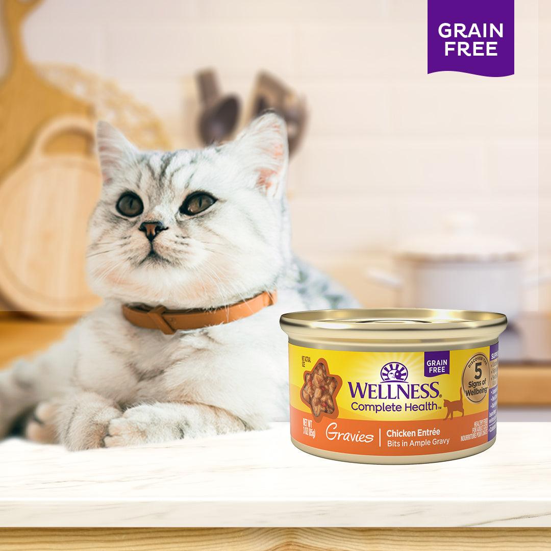 Wellness Complete Health Gravies Chicken Entree Grain Free Canned Cat Food 3oz