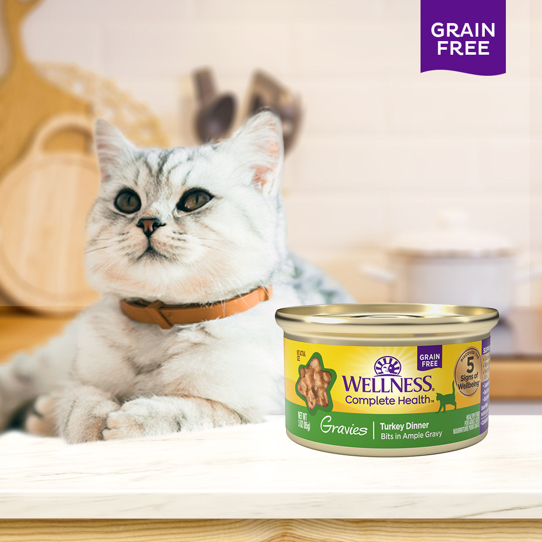 Wellness Complete Health Gravies Turkey Dinner Grain Free Canned Cat Food 3oz