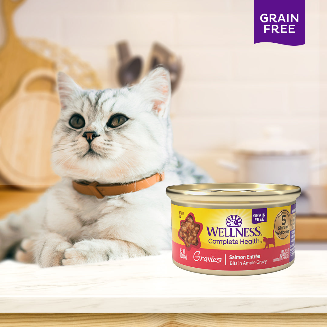 Wellness Complete Health Gravies Salmon Entree Grain Free Canned Cat Food 3oz