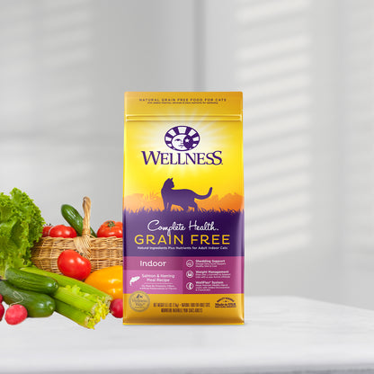 Wellness Complete Health Grain Free Indoor Salmon & Herring Adult Dry Cat Food 11.5lb