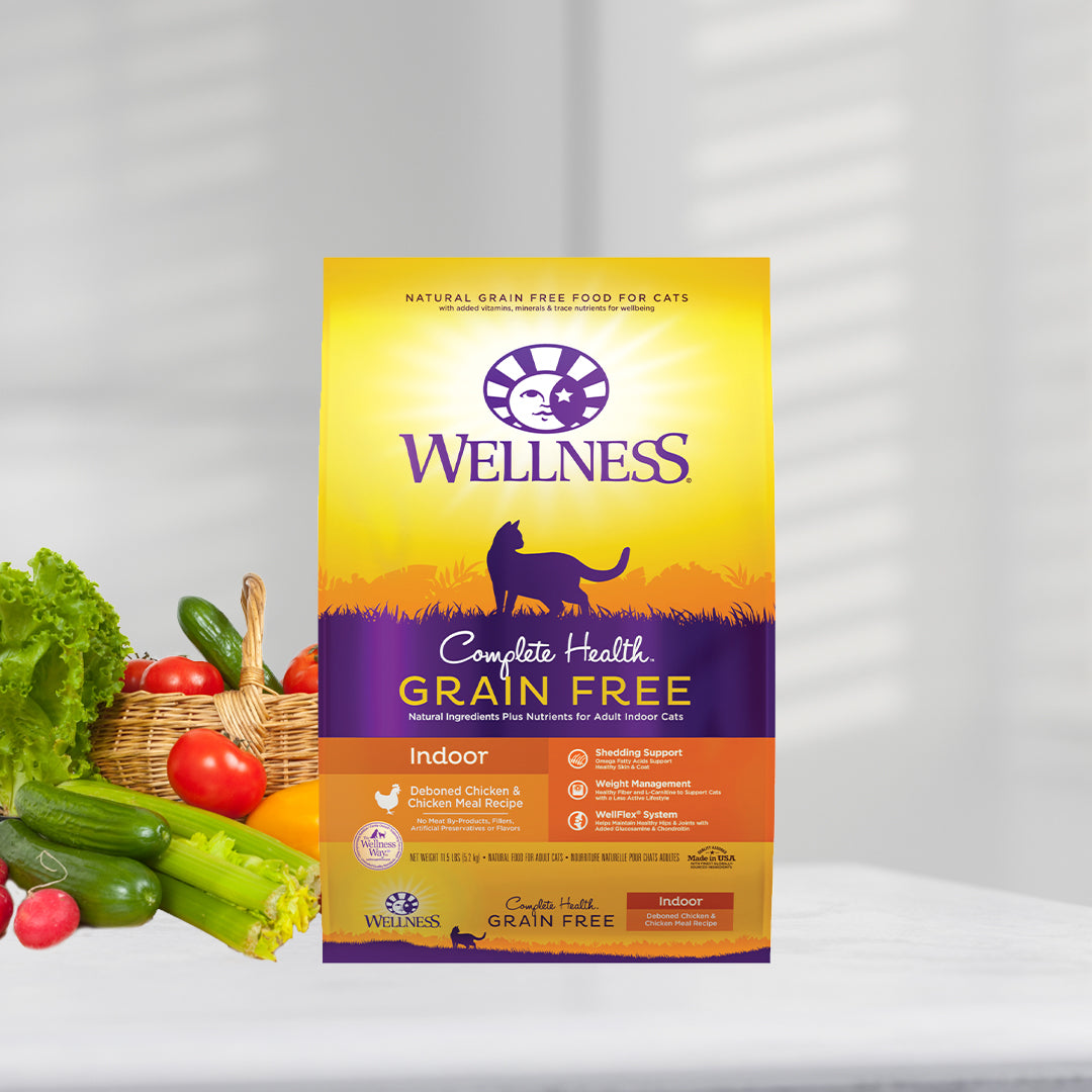 Wellness Complete Health Grain Free Deboned Chicken Adult Dry Cat Food 11.5lb