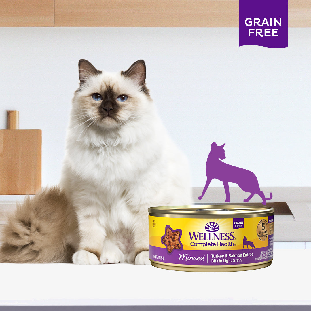 Wellness Complete Health Minced Turkey & Salmon Entree Grain Free Canned Cat Food 5.5oz