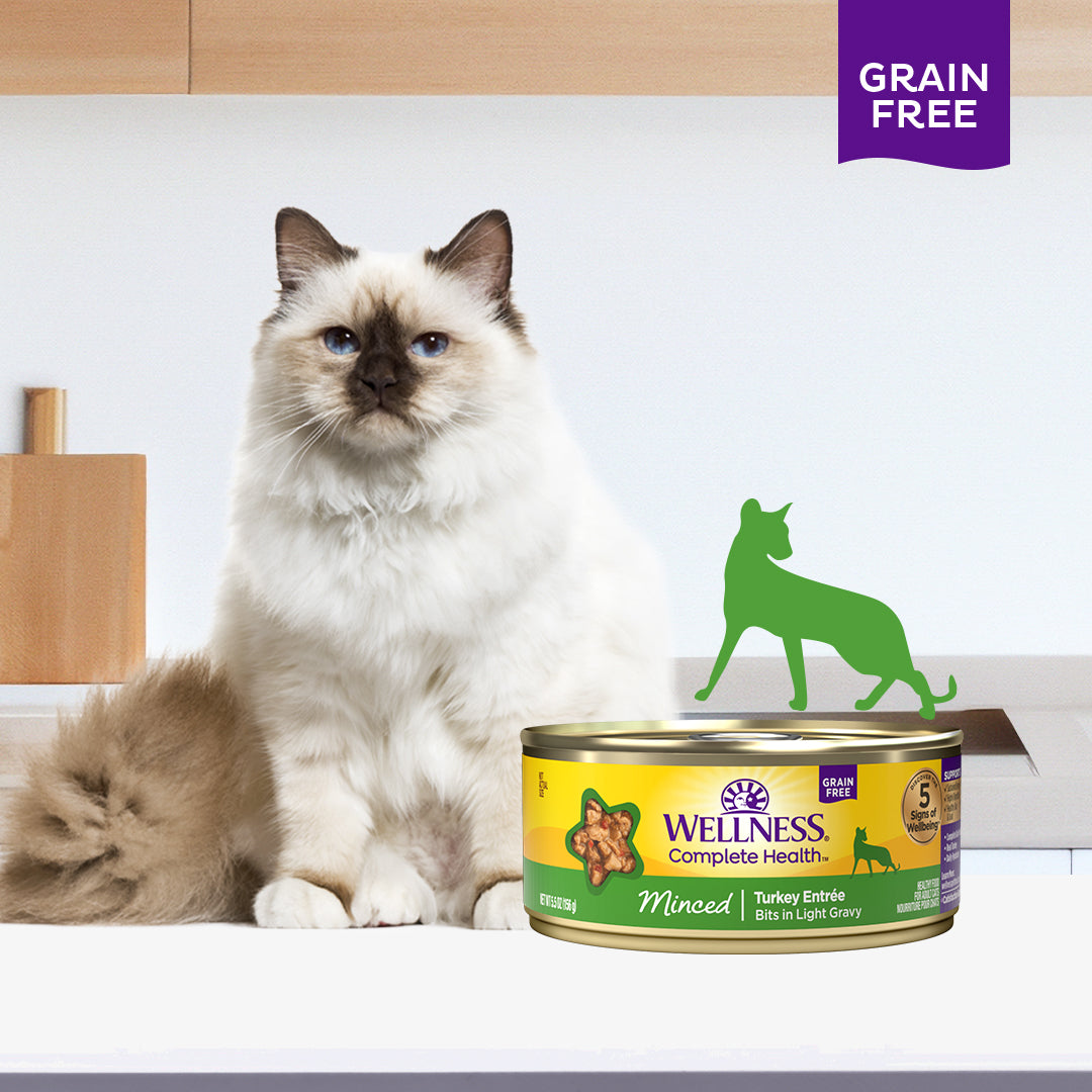 Wellness Complete Health Minced Turkey Entree Canned Cat Food 5.5oz