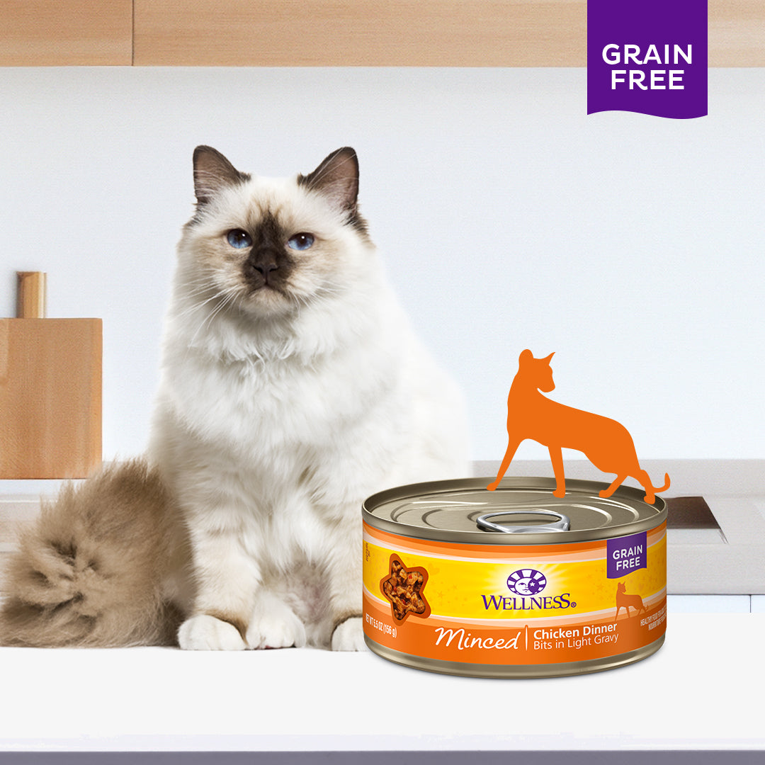 Wellness Complete Health Minced Chicken Dinner Canned Cat Food 5.5oz