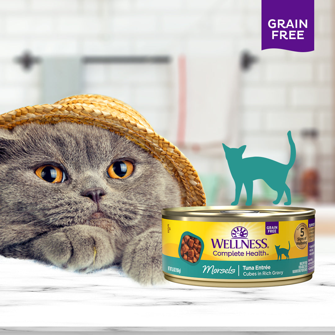 Wellness Complete Health Morsels Cubed Tuna Entree Grain Free Canned Cat Food 5.5oz