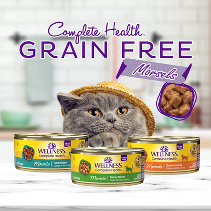 Wellness Complete Health Morsels Cubed Chicken Entree Grain Free Canned Cat Food 5.5oz
