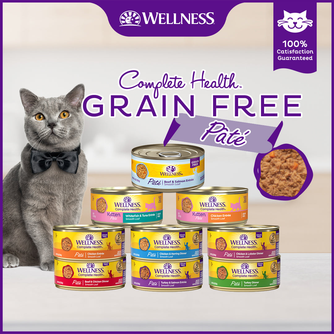 Wellness Complete Health Turkey Pate Grain Free Canned Cat Food 5.5oz