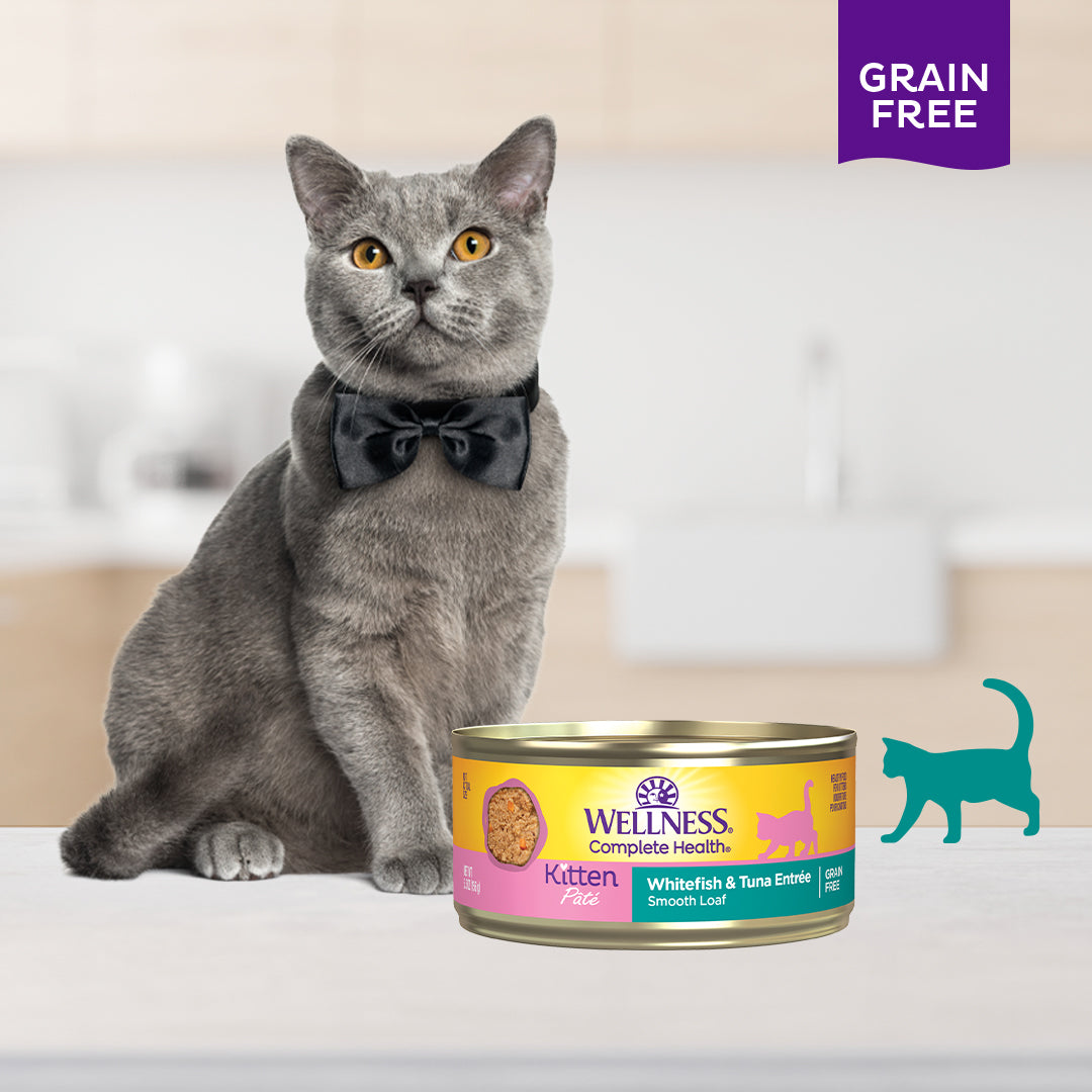 Wellness Complete Health Whitefish & Tuna Pate Grain Free Kitten Canned Cat Food 5.5oz