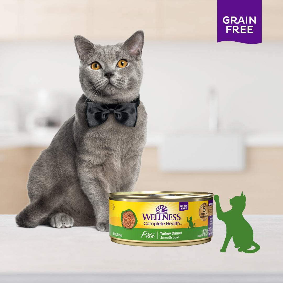 Wellness Complete Health Turkey Pate Grain Free Canned Cat Food 5.5oz