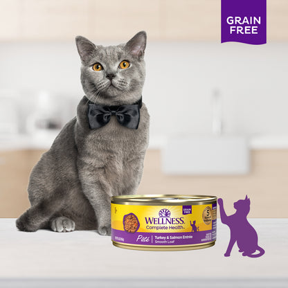 Wellness Complete Health Turkey & Salmon Pate Grain Free Canned Cat Food 5.5oz