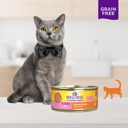 Wellness Complete Health Chicken Pate Grain Free Kitten Canned Cat Food 5.5oz