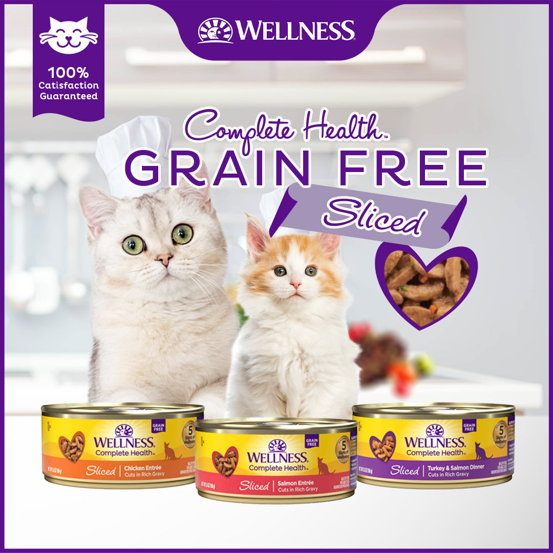 Wellness Complete Health Sliced Turkey & Salmon Dinner Grain Free Canned Cat Food 5.5oz