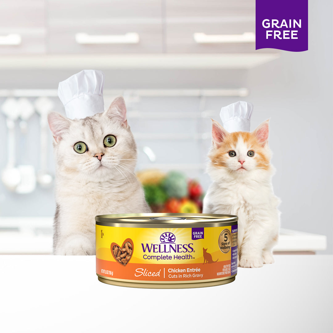 Wellness Complete Health Sliced Chicken Entree Grain Free Canned Cat Food 5.5oz