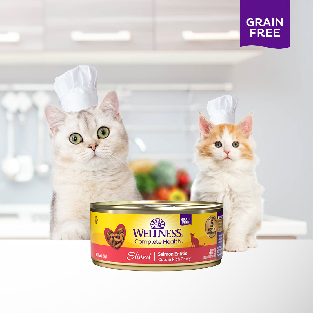 Wellness Complete Health Sliced Salmon Entree Grain Free Canned Cat Food 5.5oz