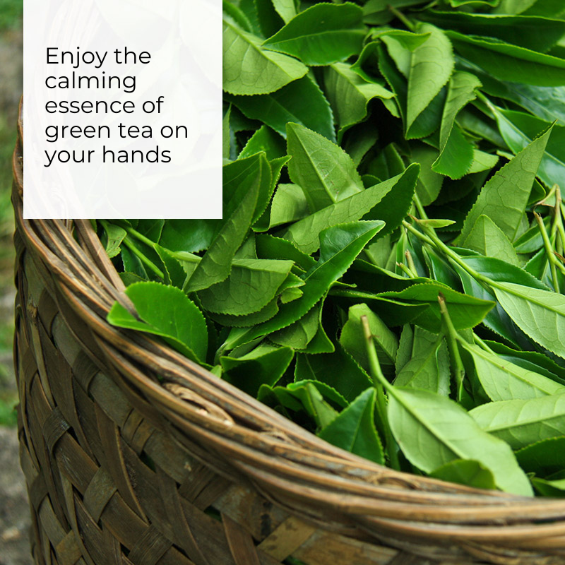 IDoCare Green Serenity Moisturising Hand Soap – Pet-Safe Formula