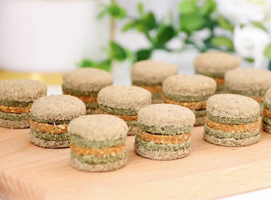 Munchies Handmade Hamburger Hay Cake – 4pcs Natural Treats for Rabbits, Guinea Pigs & Chinchillas