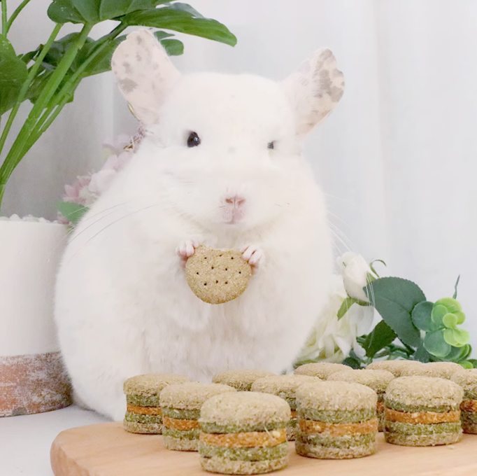 Munchies Handmade Hamburger Hay Cake – 4pcs Natural Treats for Rabbits, Guinea Pigs & Chinchillas