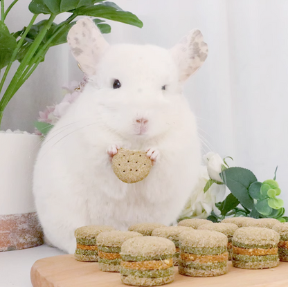 Munchies Handmade Hamburger Hay Cake – 4pcs Natural Treats for Rabbits, Guinea Pigs & Chinchillas