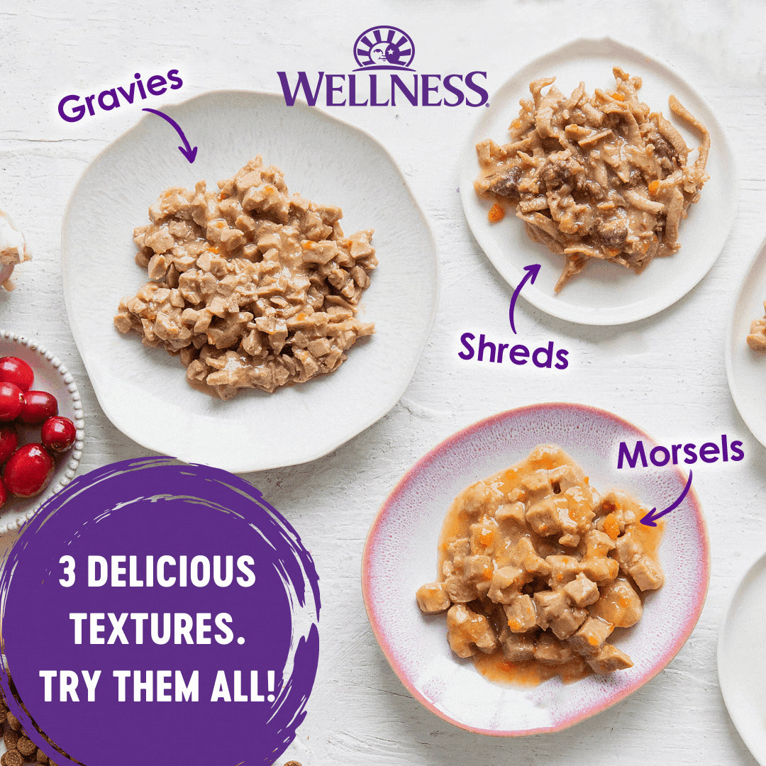 Wellness Healthy Indulgence Shreds Skipjack Tuna & Shrimp Grain Free Cat Food 3oz