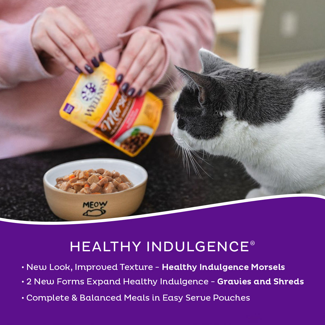Wellness Healthy Indulgence Morsels Salmon & Tuna Grain Free Cat Food 3oz