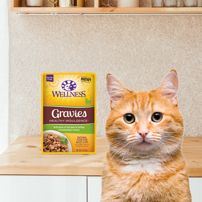Wellness Healthy Indulgence Gravies Chicken & Turkey Grain Free Cat Food 3oz