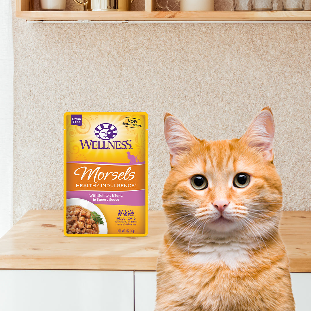 Wellness Healthy Indulgence Morsels Salmon & Tuna Grain Free Cat Food 3oz