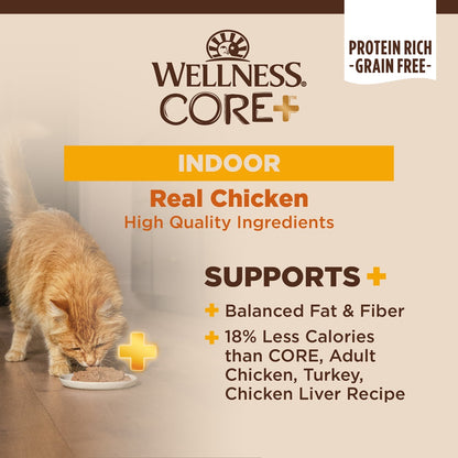 Wellness CORE+ Grain Free Indoor Formula Wet Cat Food 5.5oz