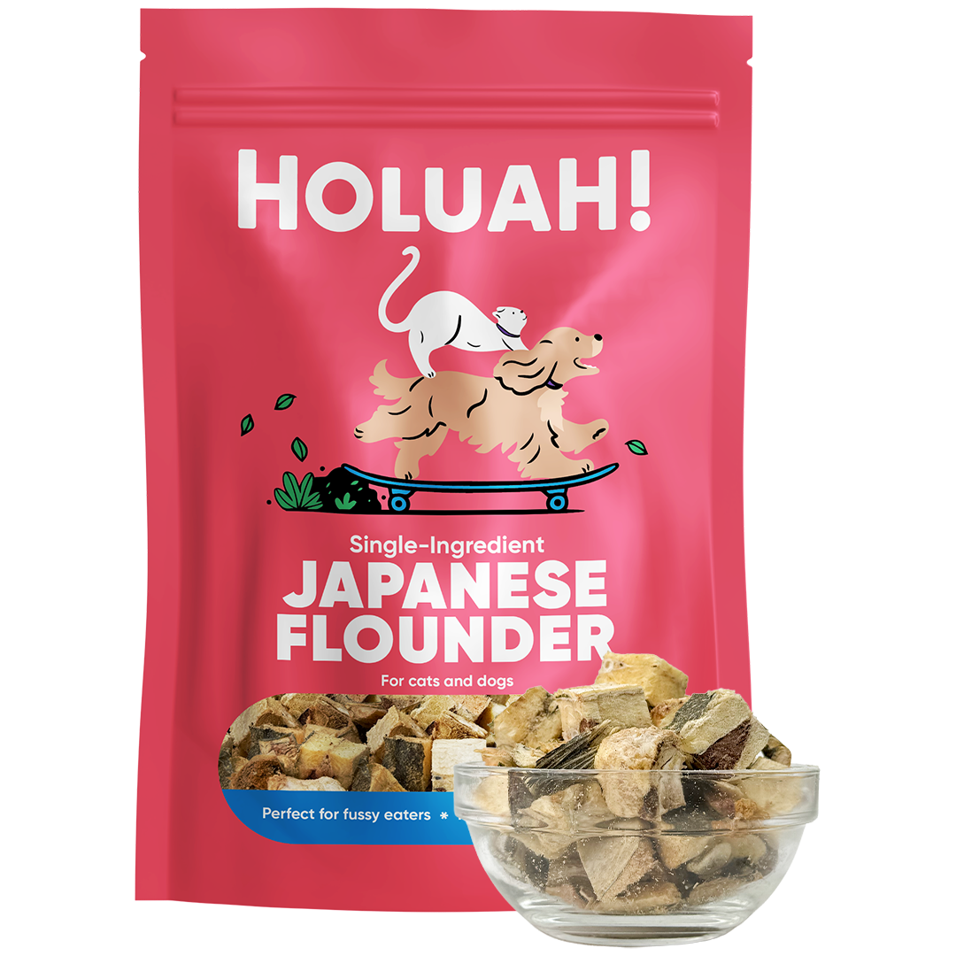 Holuah! Freeze Dried Japanese Flounder Treats for Cats and Dogs 70g