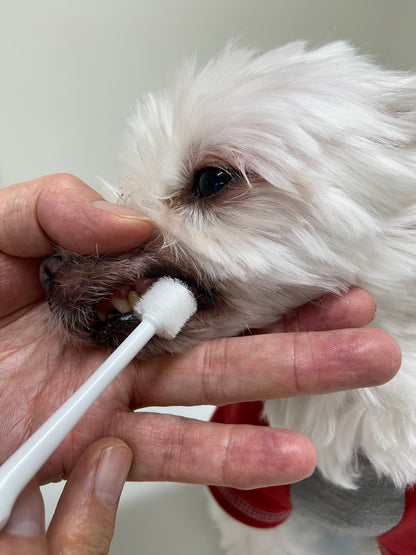 Mind Up Kenko Care Toothbrush Cylinder Head for Dogs