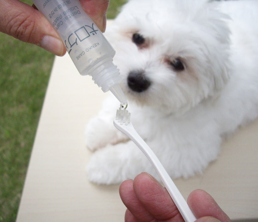 Mind Up Kenko Care Toothbrushing Liquid for Dogs 30ml